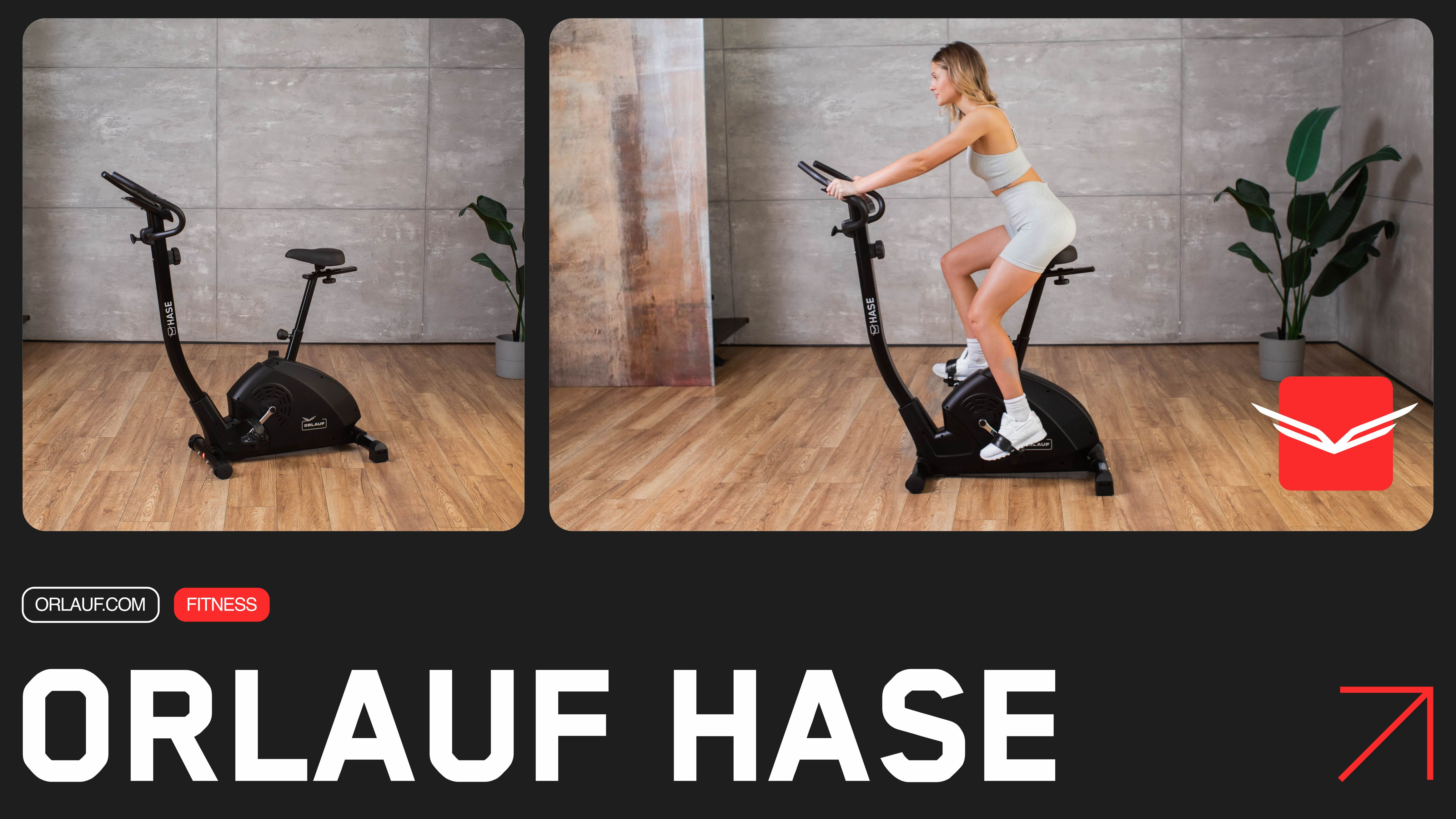 Orlauf Hase