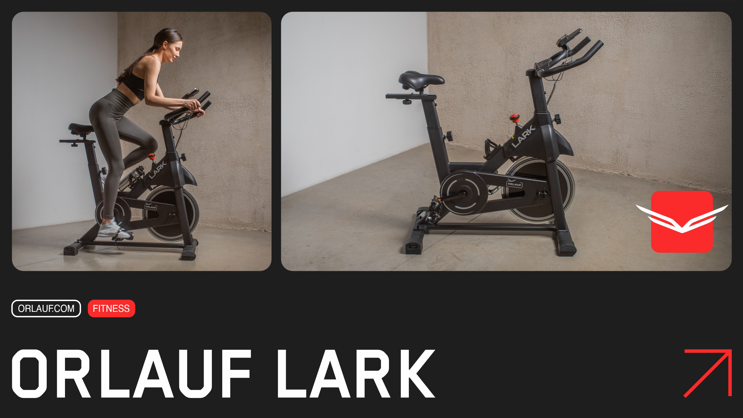 Orlauf Lark